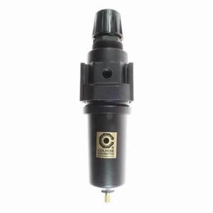 Coilhose® 27FC4-DGMX Series 27 Integral Filter/Regulator with Automatic Drain and Gauge, 1/2 in Port, 0 to 125 psi Pressure