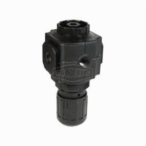Norgren® by Dixon® R73G-3R Excelon® 1 Series Relieving Compact Regulator Without Gauge, 3/8 in PTF, 144 scfm