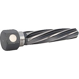 Champion Cutting Tool XL86M-1-3/16 Magnetic Hex Shank Bridge Reamer