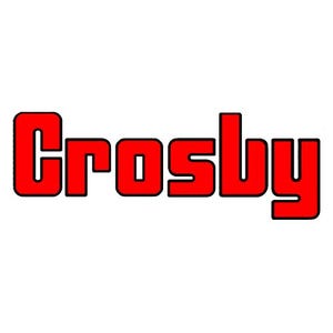 Crosby® 1015566 Bolts and Hoist Ring Kit, F/HR125, 1/2 x 2, S4 125