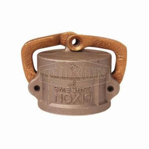 Dixon® 300DC-LAL Lockable Cam and Groove Dust Cap, 3 in, Aluminum, Domestic