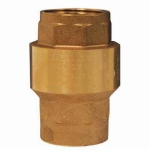 Dixon® CV100 Spring-Loaded Check Valve, 1 in Nominal, FNPT End Style, Brass Body, NBR Seat Soft goods, Import