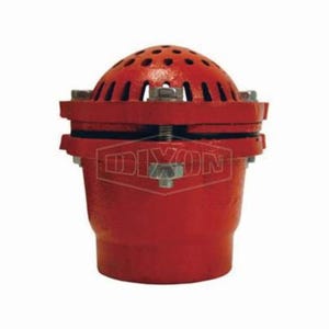 Dixon® DFVS25 Foot Valve, 2 in, FNPT, Cast Iron Body