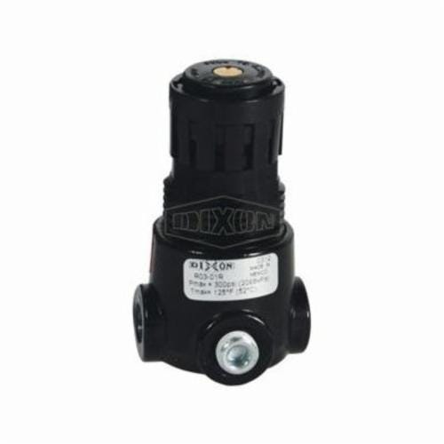 Wilkerson® by Dixon® R03-01R Self-Relieving Standard Miniature Regulator Without Gauge, 1/8 in NPT, 13 scfm