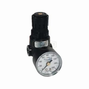 Wilkerson® by Dixon® R03-01RG Self-Relieving Standard Miniature Regulator with GC620 Gauge, 1/8 in NPT, 13 scfm