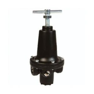 Watts by Dixon® R119-08C Relieving Standard Regulator, 1 in NPT, 400 scfm, 2 to 125 psig Pressure