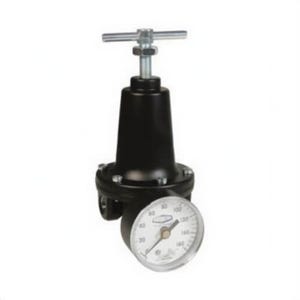 Watts by Dixon® R119-04CG Relieving Standard Regulator with GC230 Gauge, 1/2 in NPT, 150 scfm, 2 to 125 psig Pressure