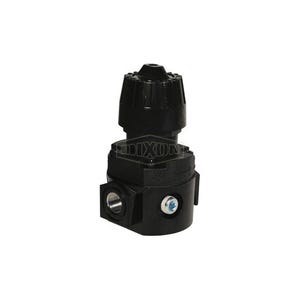 Wilkerson® by Dixon® R16-04R Self-Relieving Standard Compact Regulator Without Gauge, 1/2 in NPT/BSPP-G, 88 scfm