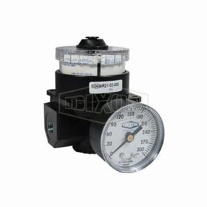 Wilkerson® by Dixon® R21-02RG dial Air Regulator with GC230 Gauge, 1/4 in NPT/BSPP-G, 0 to 160 psig Adjustable Pressure