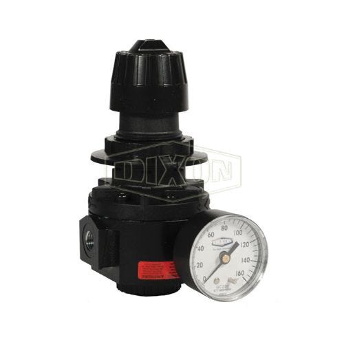 Wilkerson® by Dixon® R26-04RG Relieving Standard Regulator with GC230 Gauge, 1/2 in NPT/BSPP-G, 185 scfm