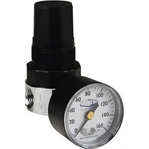 Dixon® 1/4 in REGULATOR WATTS FRL'S MINIATURE (R374-02CG)