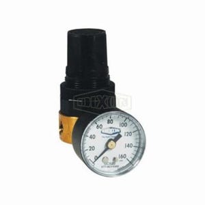 Wilkerson® by Dixon® RB3-02RG Miniature Water Regulator with GC620 Gauge, 1/4 in NPT/BSPP-G, 14 scfm