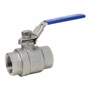 Dixon® SSLBV250 Ball Valve, 2-1/2 in Nominal, FNPT End Style
