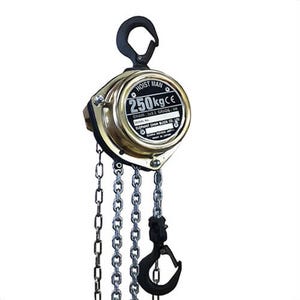 Elephant Lifting Productsâ„¢ HM-250-10 Hoistman Hand Chain Hoist, 10 ft Lift