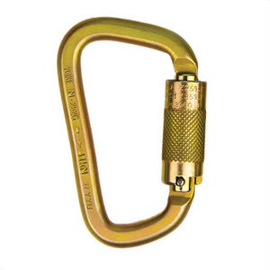 Guardian® 01837 Carabiner, High Strength