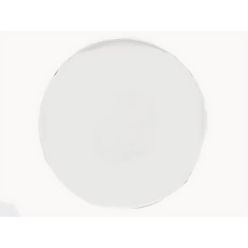 Milwaukee® 43-50-0110 Replacement Outer Glass Oil, for use with 6577 Worm Drive Saw