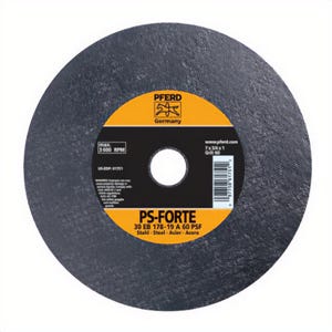 Pferd 61769 Universal Line PS-Forte Flat Bench and Pedestal Grinding Wheel, 10 in dia x 1 in thick