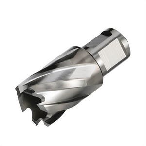 Qualtech DWC5-530-127 Annular Cutter, 7/8 in dia Cutter, 1 in D Cutting, HSS, Bright, Weldon Shank